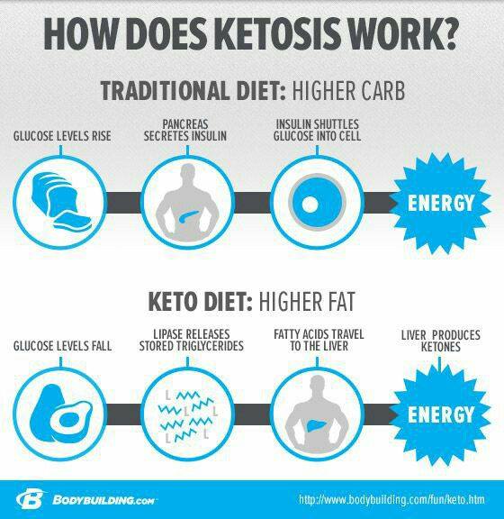 Getting Into Ketosis In 24 Hours